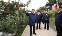 江西谭晓林爆料事件最新消息,真相逐步浮出水面