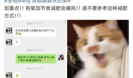 新瓜最新爆料网红是谁啊,网红界新晋风云人物是谁？